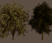 nature_renders_trees_02