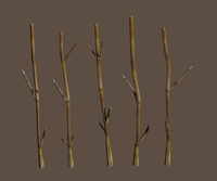 nature_renders_reed_small_01