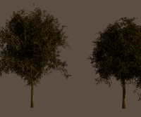 nature_renders_trees_03